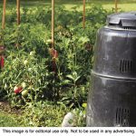 article image - 
